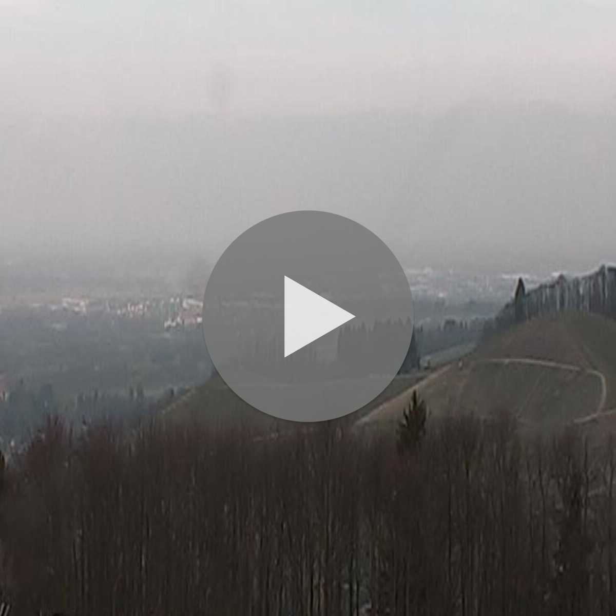 Schallstadt webcam