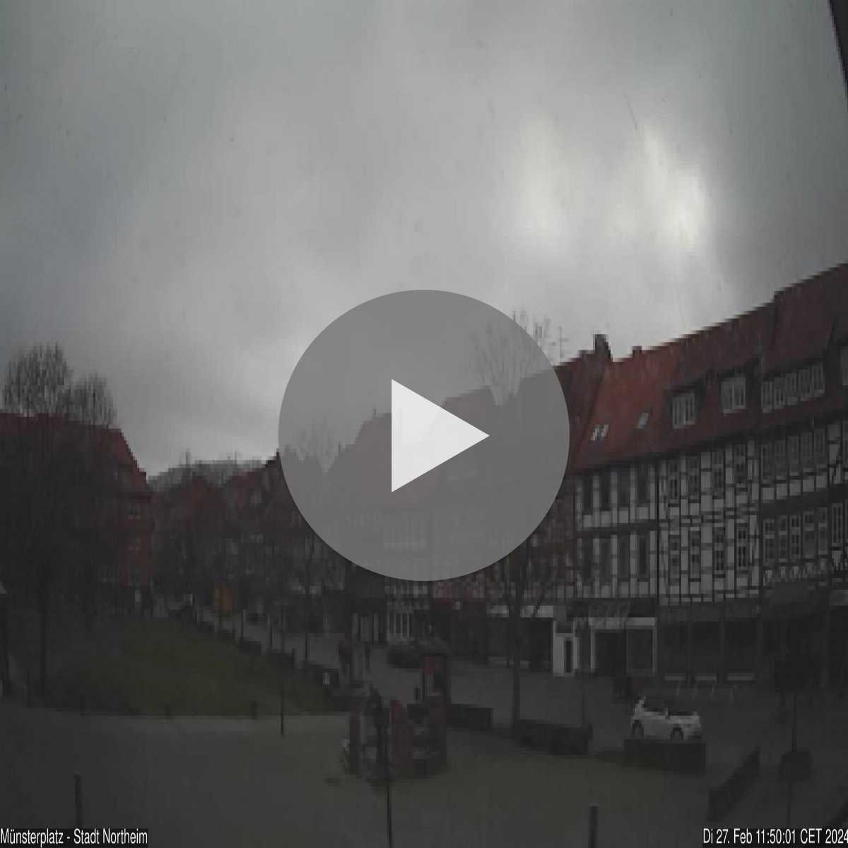 Reppenstedt webcam
