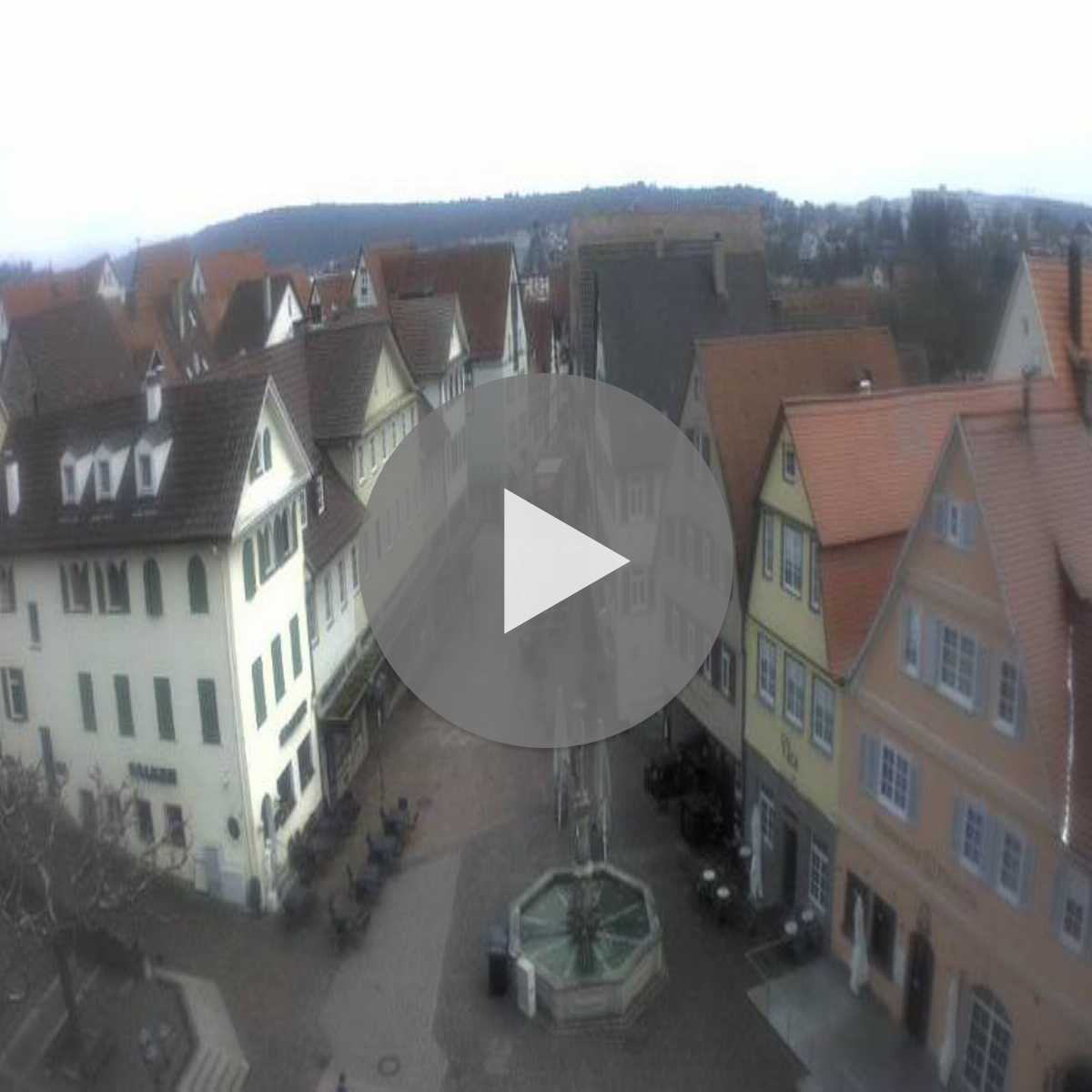 Schallstadt webcam
