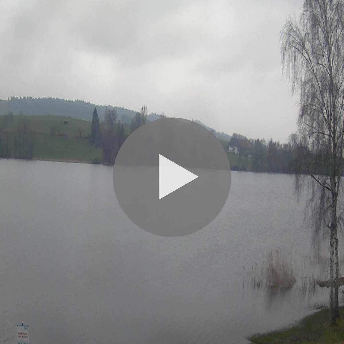 Schallstadt webcam