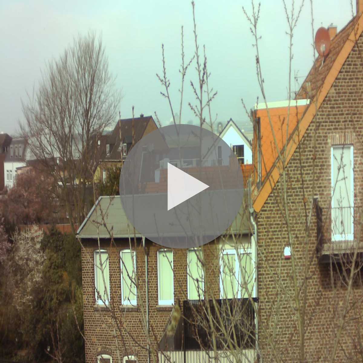 Riesenbeck webcam