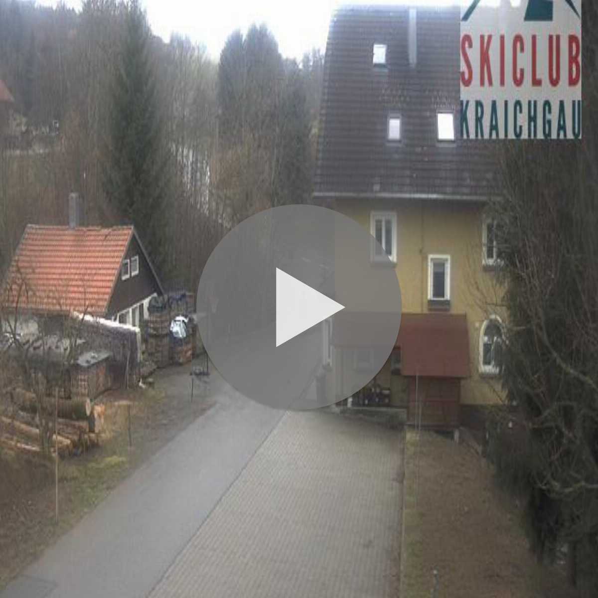 Zachenberg webcam