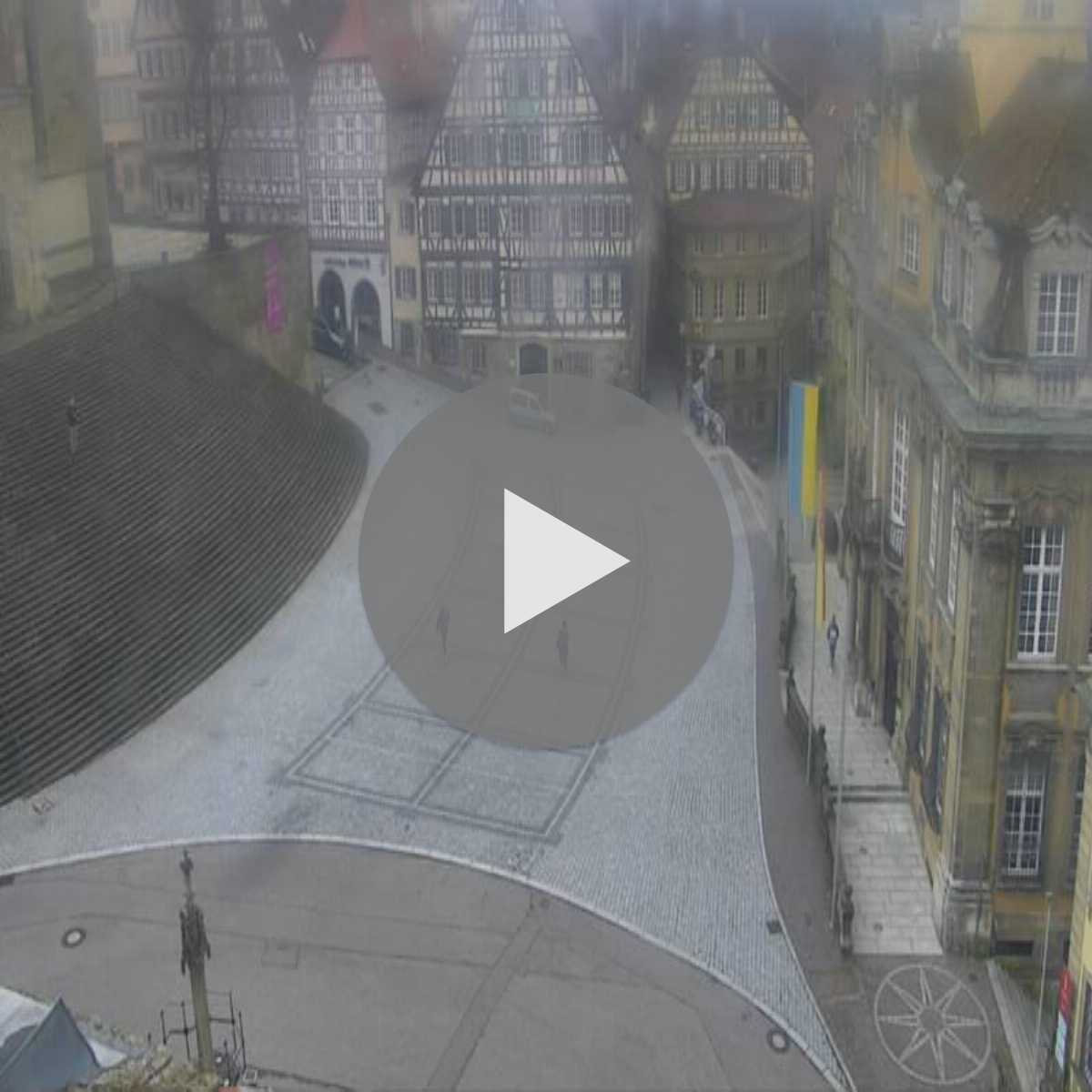 Schallstadt webcam