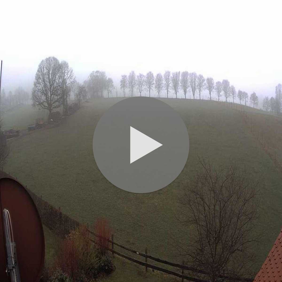 Klingenberg webcam