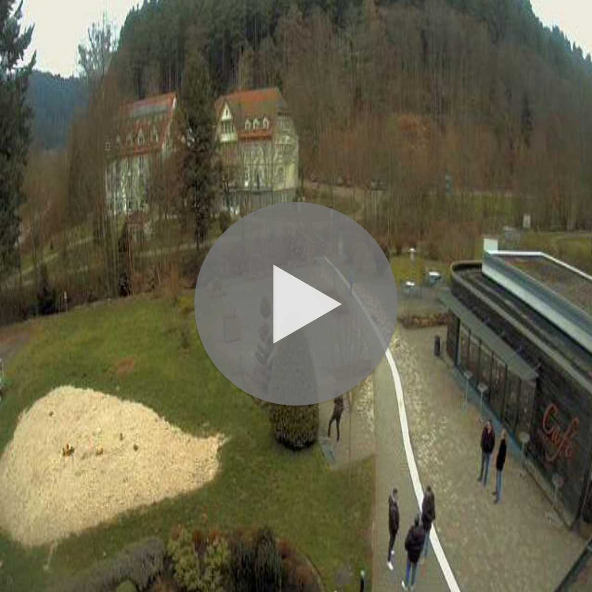 Schallstadt webcam