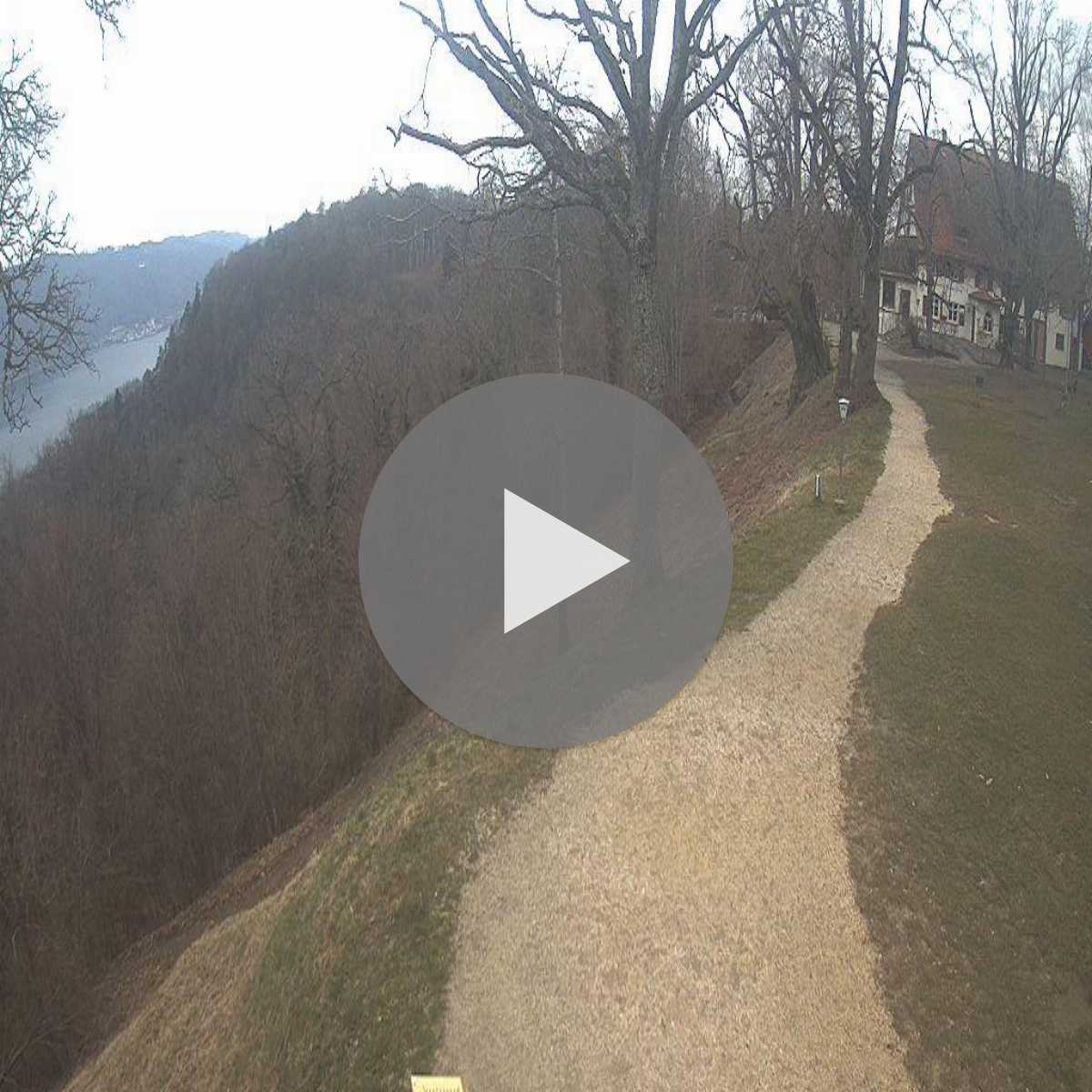 Schallstadt webcam