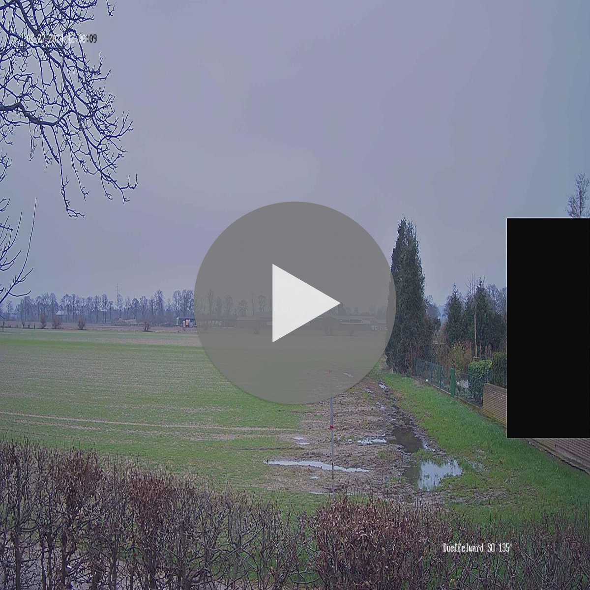 Riesenbeck webcam