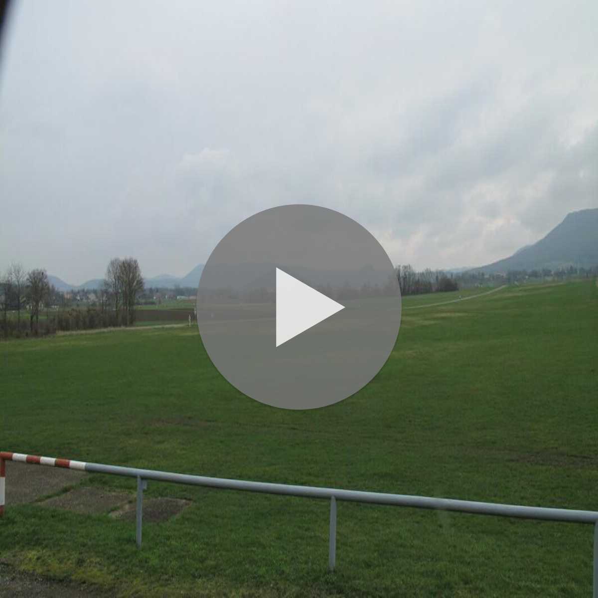 Schallstadt webcam