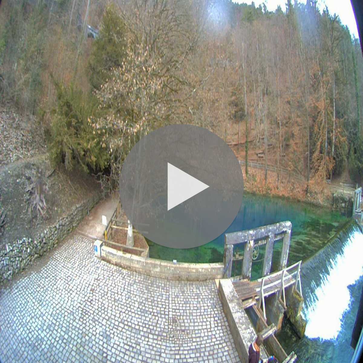 Schallstadt webcam