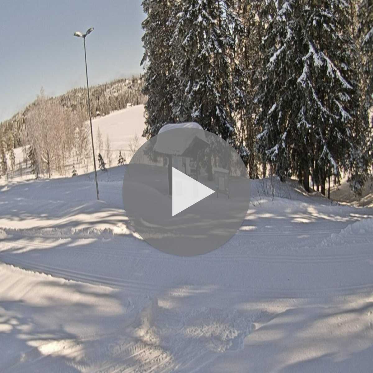 Lora webcam