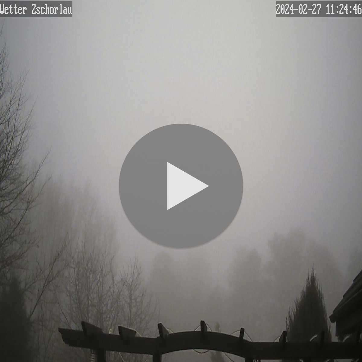 Klingenberg webcam