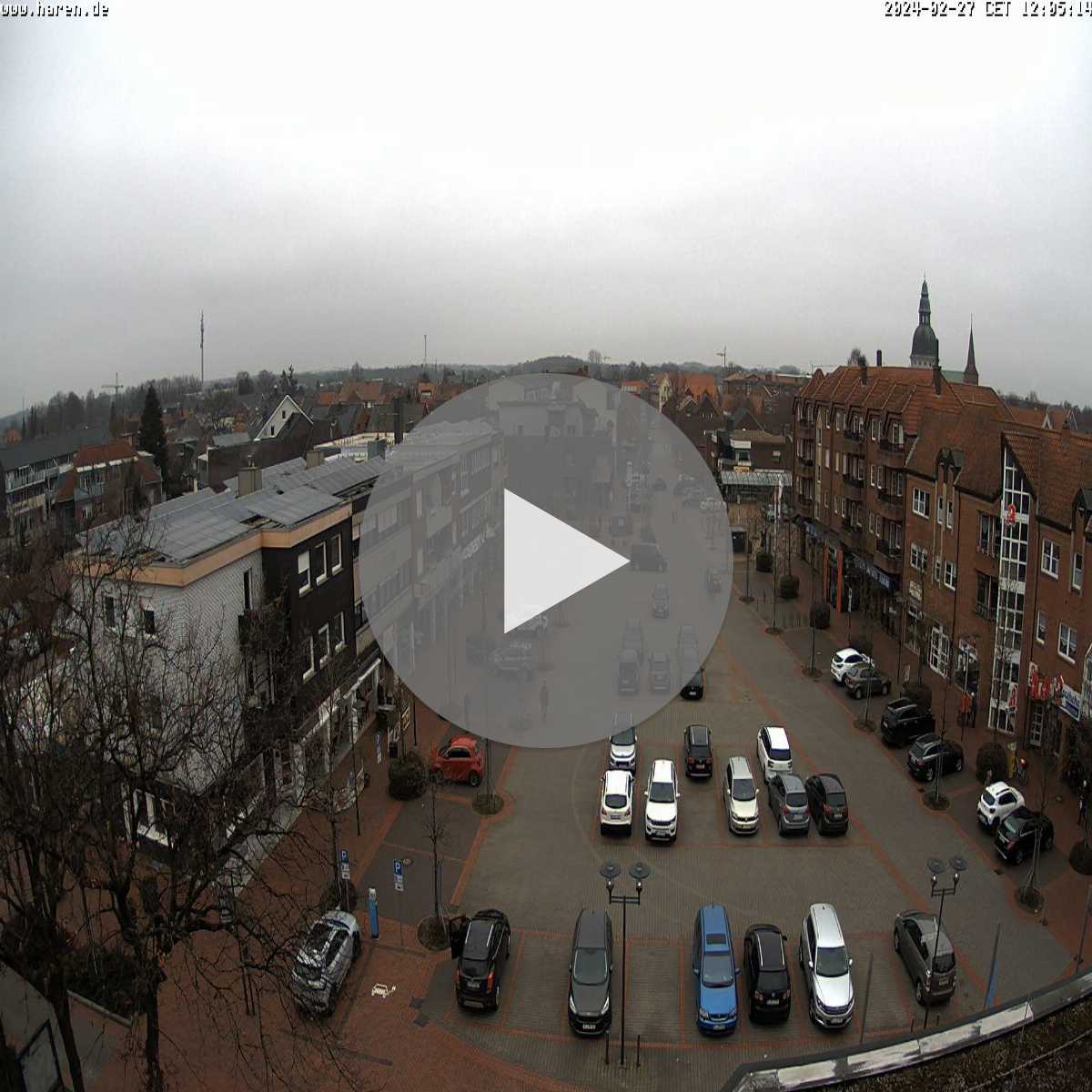 Reppenstedt webcam
