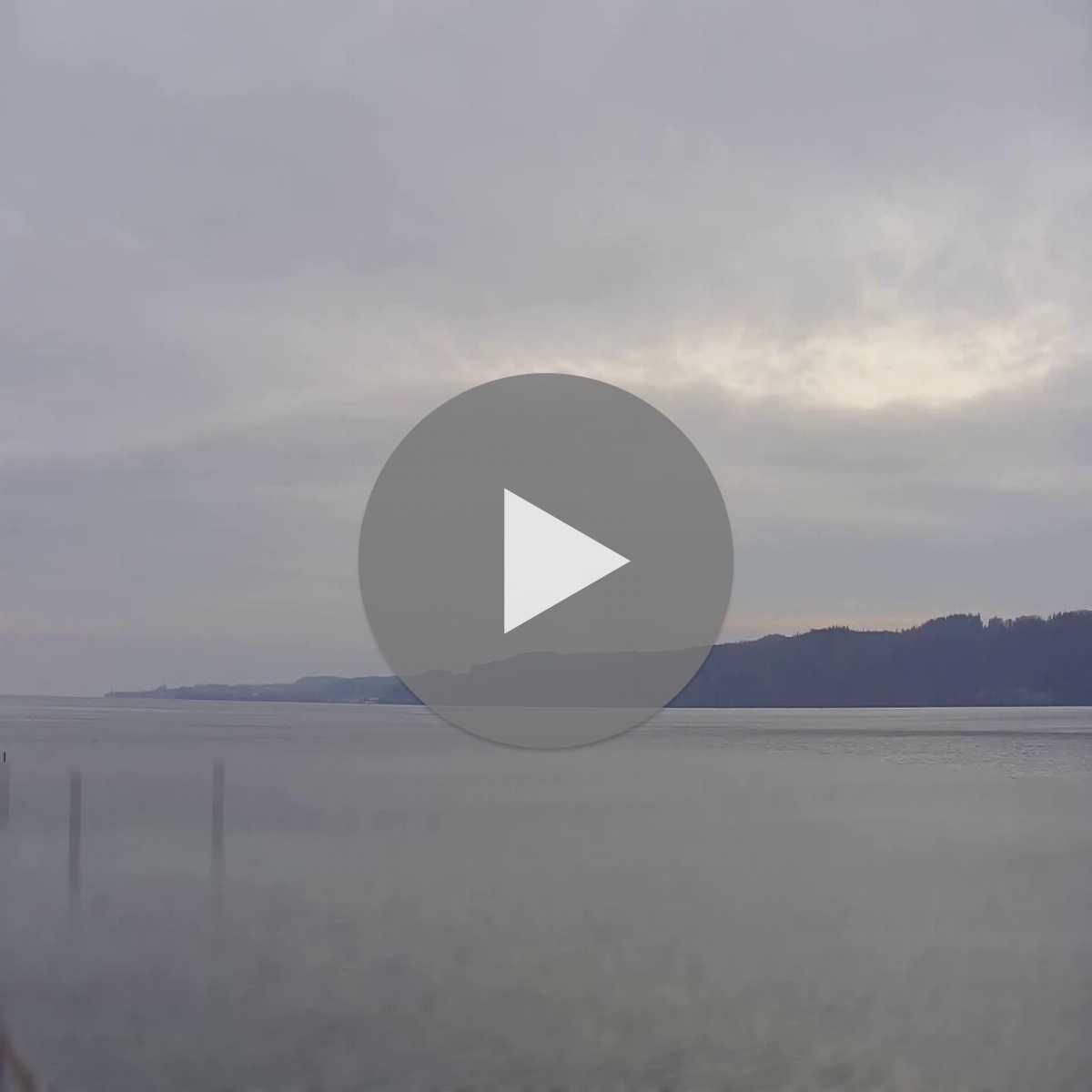 Schallstadt webcam