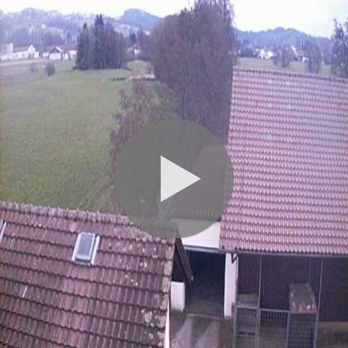 Zachenberg webcam