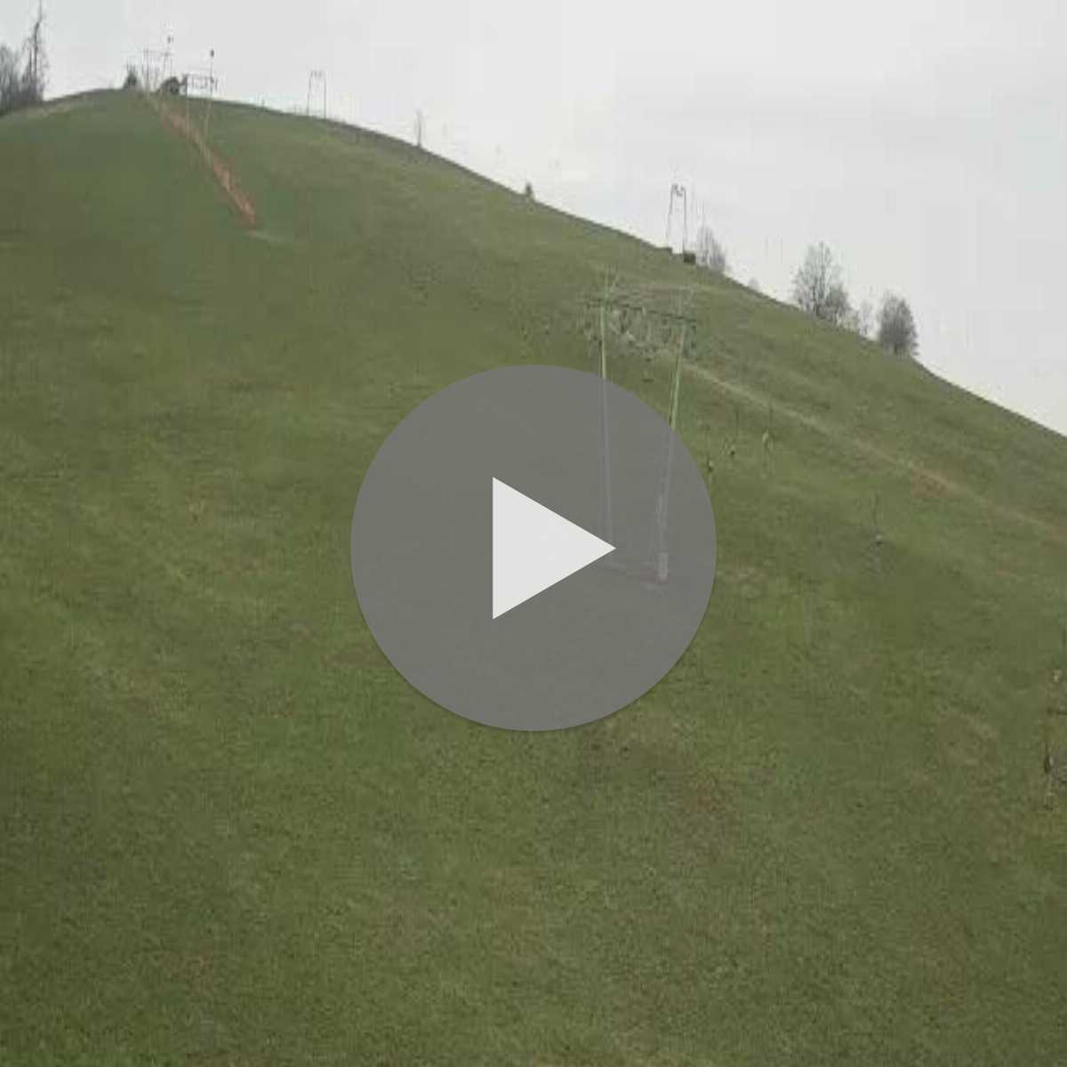 Schallstadt webcam