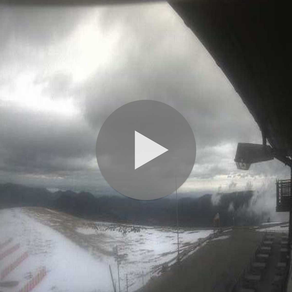 Schallstadt webcam