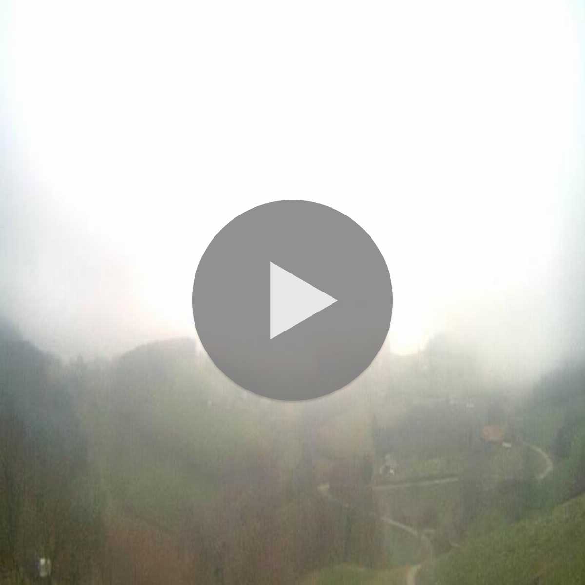 Schallstadt webcam