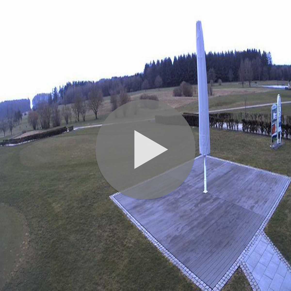 Schallstadt webcam