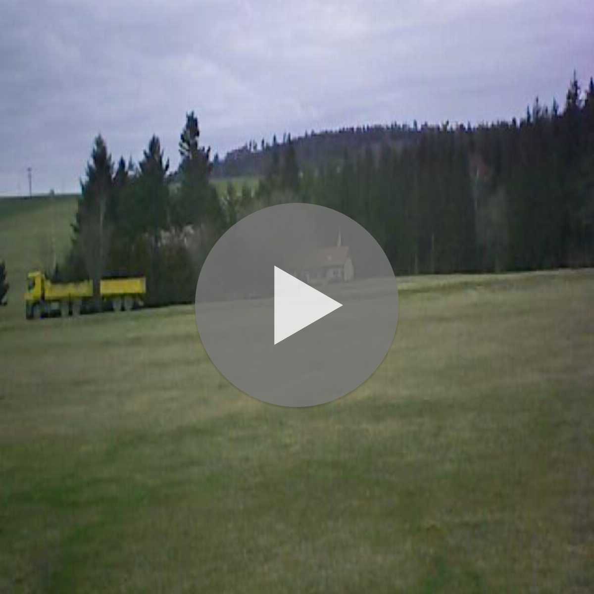 Schallstadt webcam