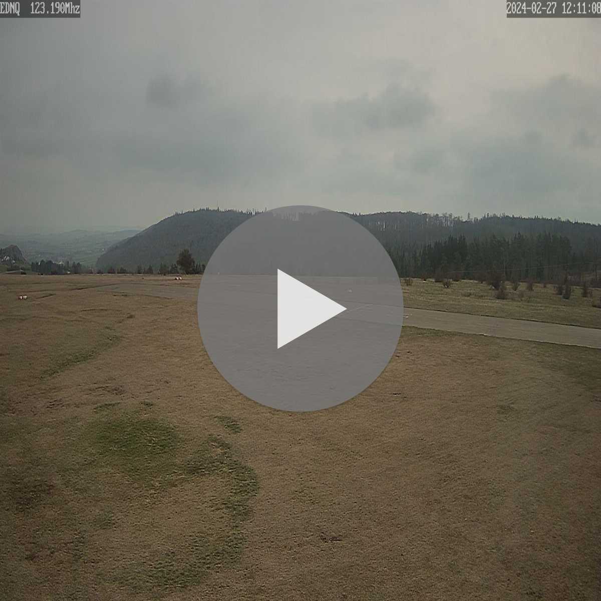 Schallstadt webcam