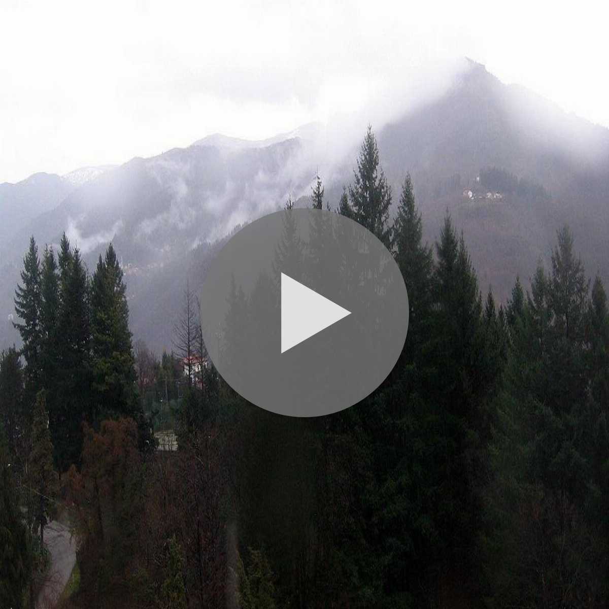 Imperia webcam