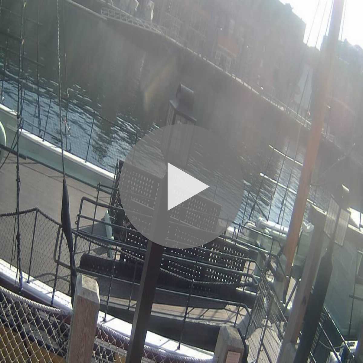 Medfield webcam