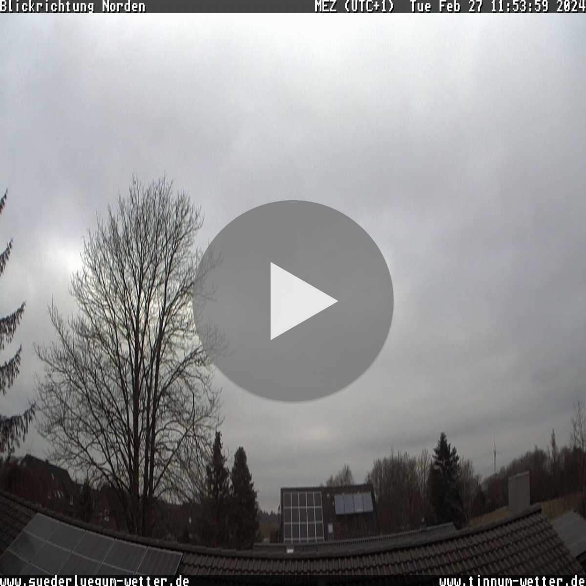 Reinbek webcam