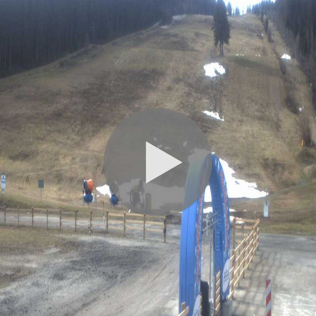 Zachenberg webcam