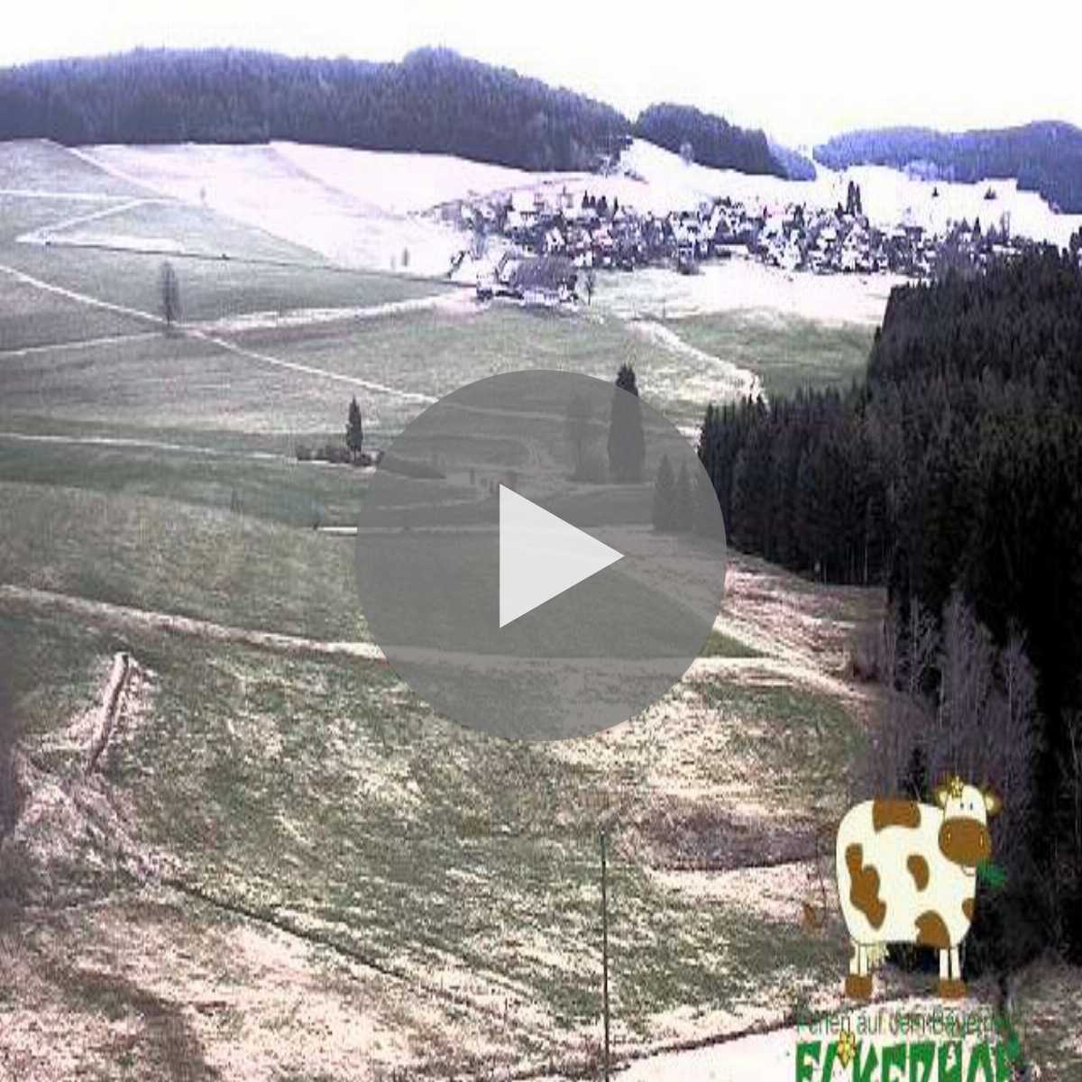 Schallstadt webcam