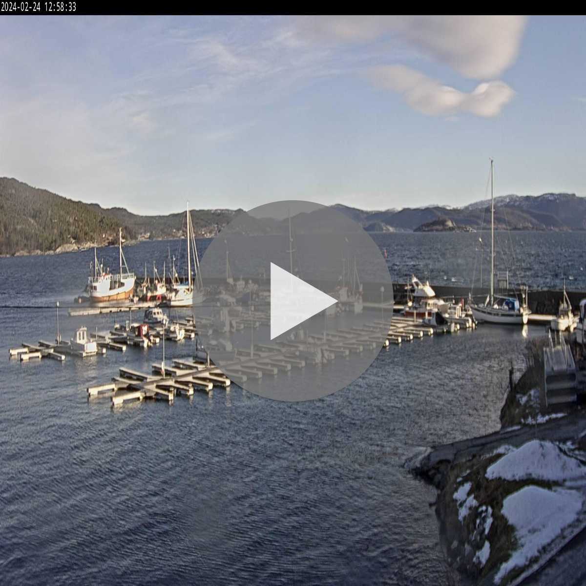 Galaen webcam