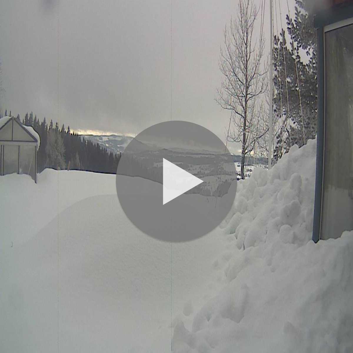 Lora webcam