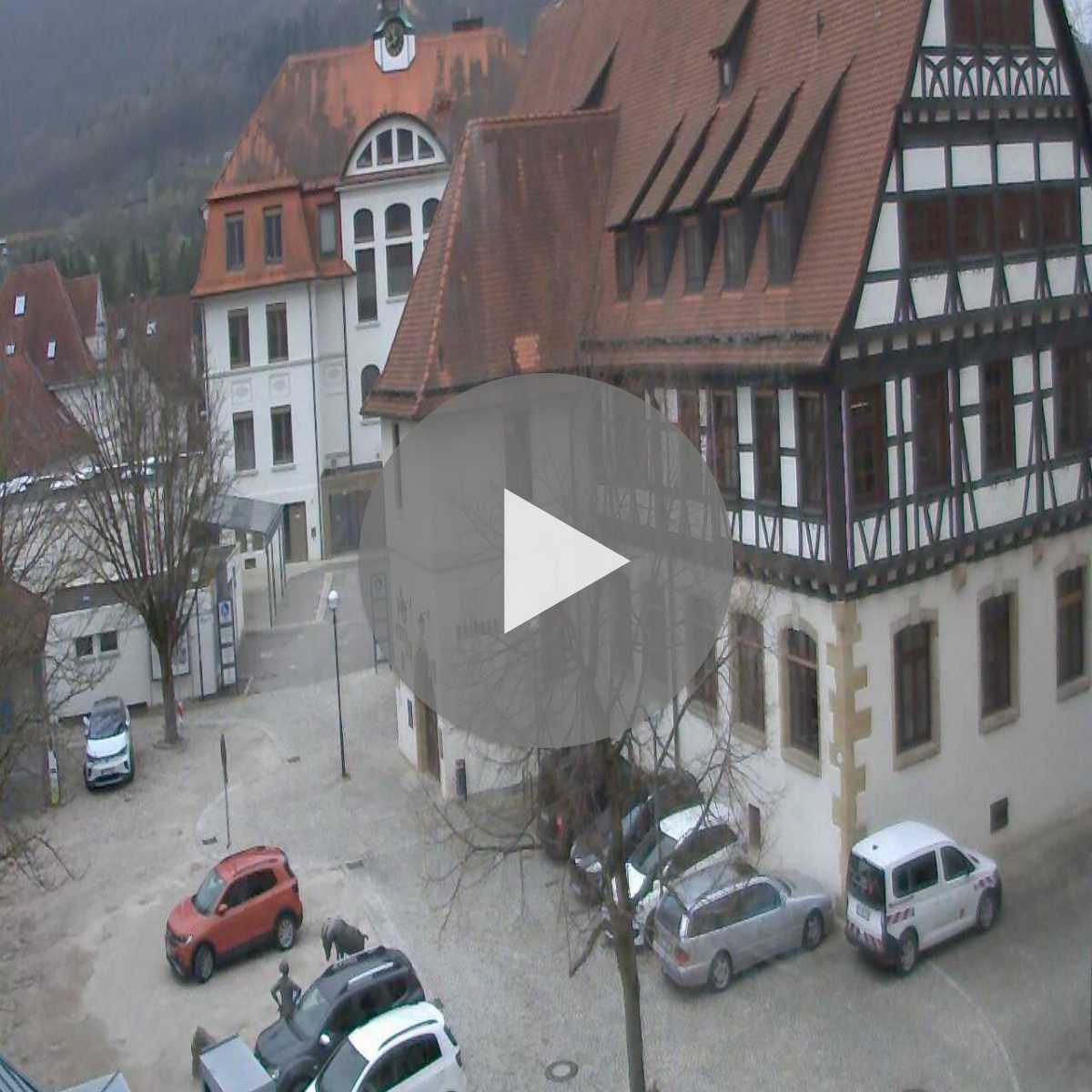 Schallstadt webcam