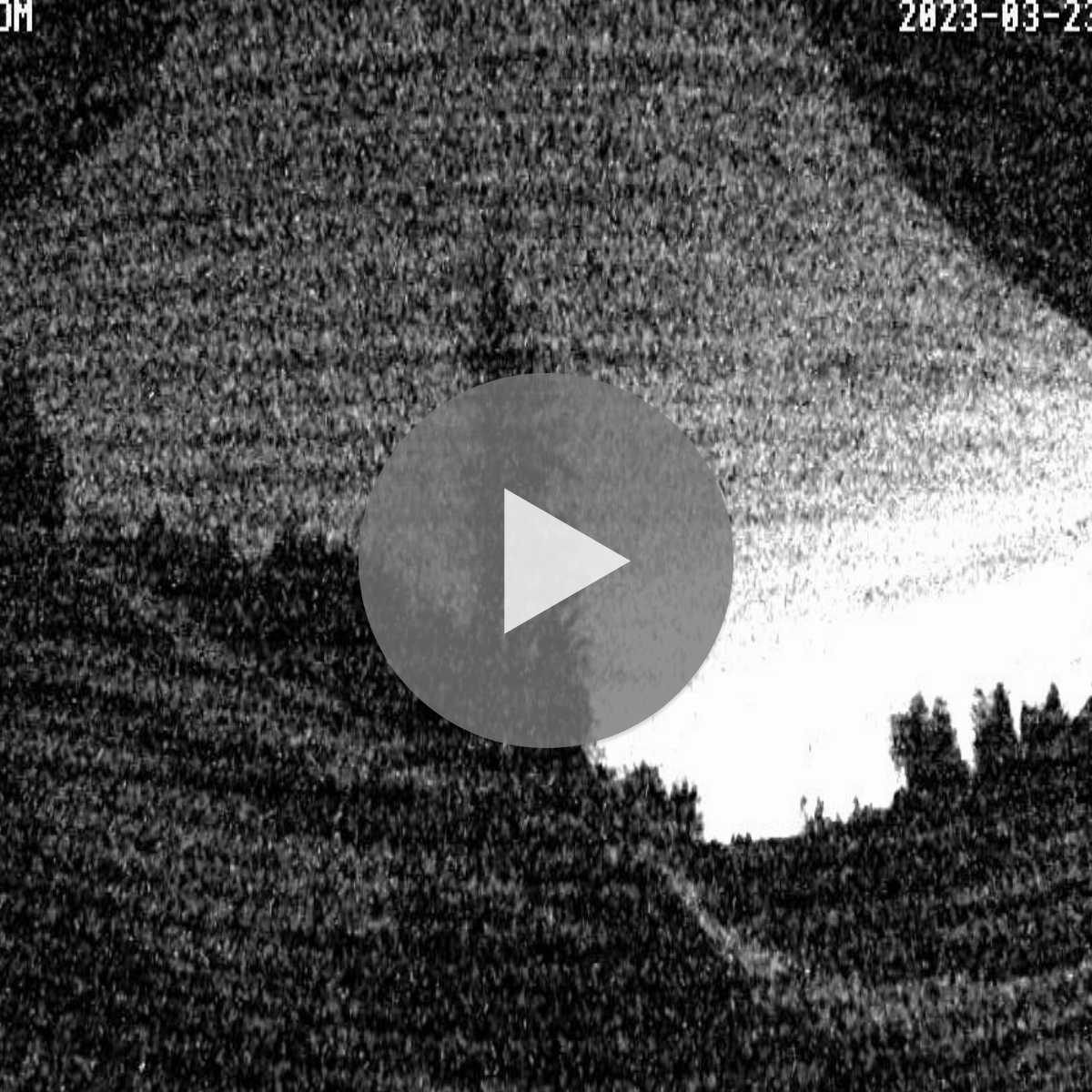 Schallstadt webcam
