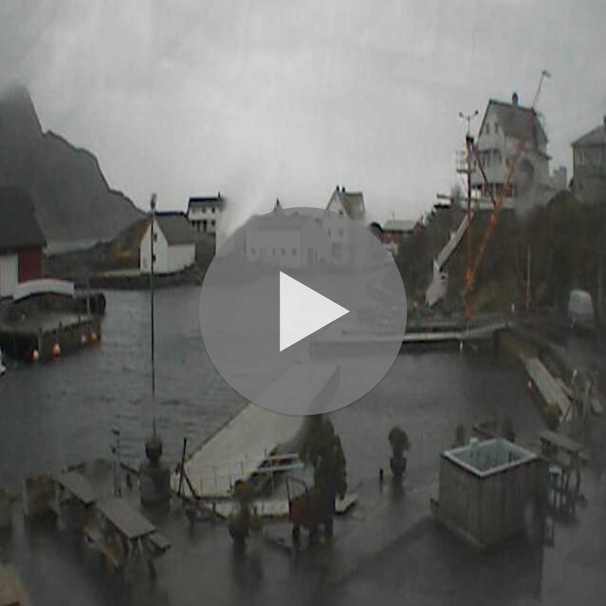 Floro webcam