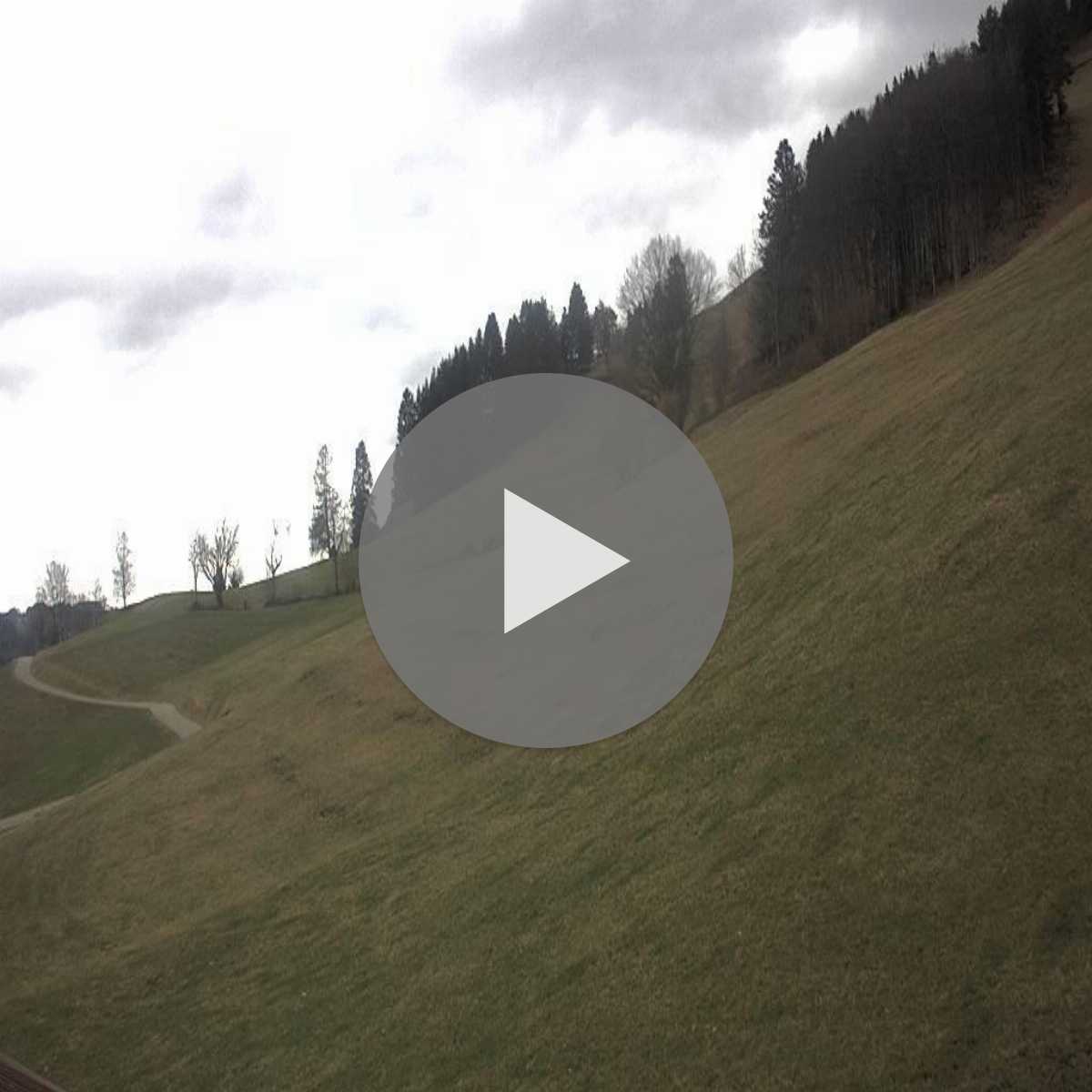 Schallstadt webcam