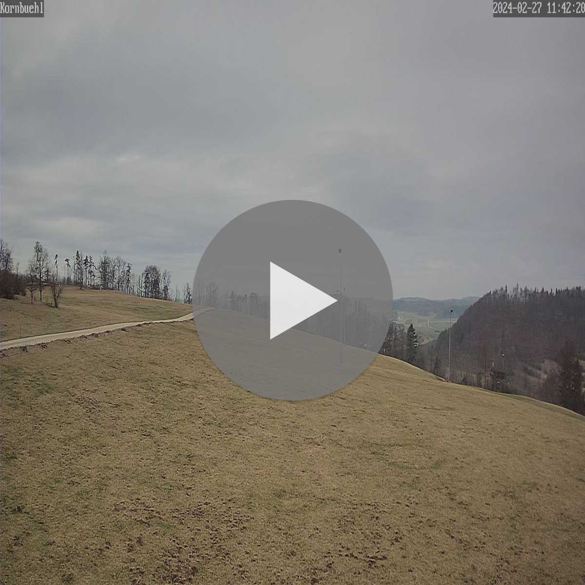 Schallstadt webcam