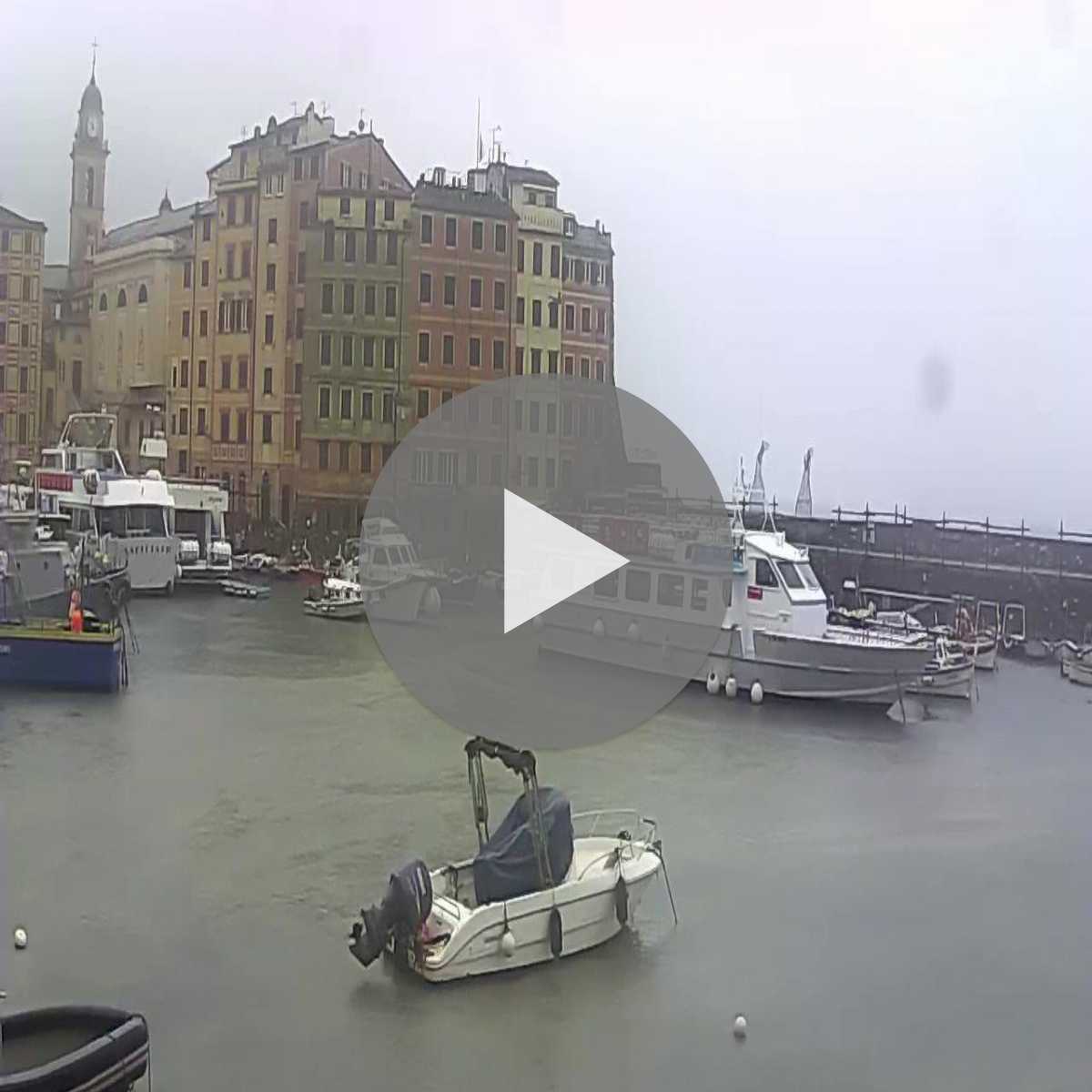Imperia webcam