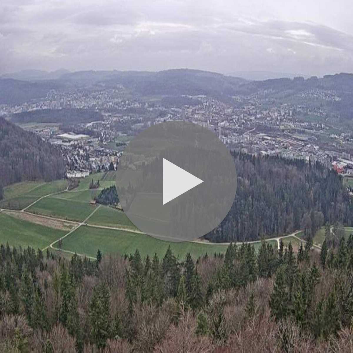 Richterswil webcam