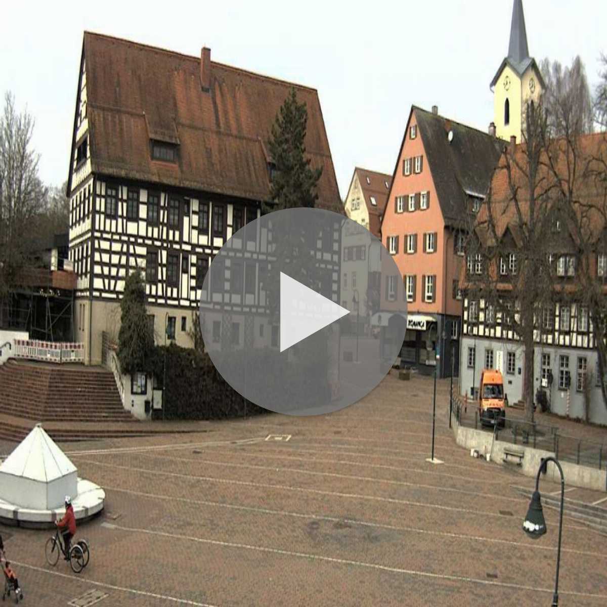 Schallstadt webcam
