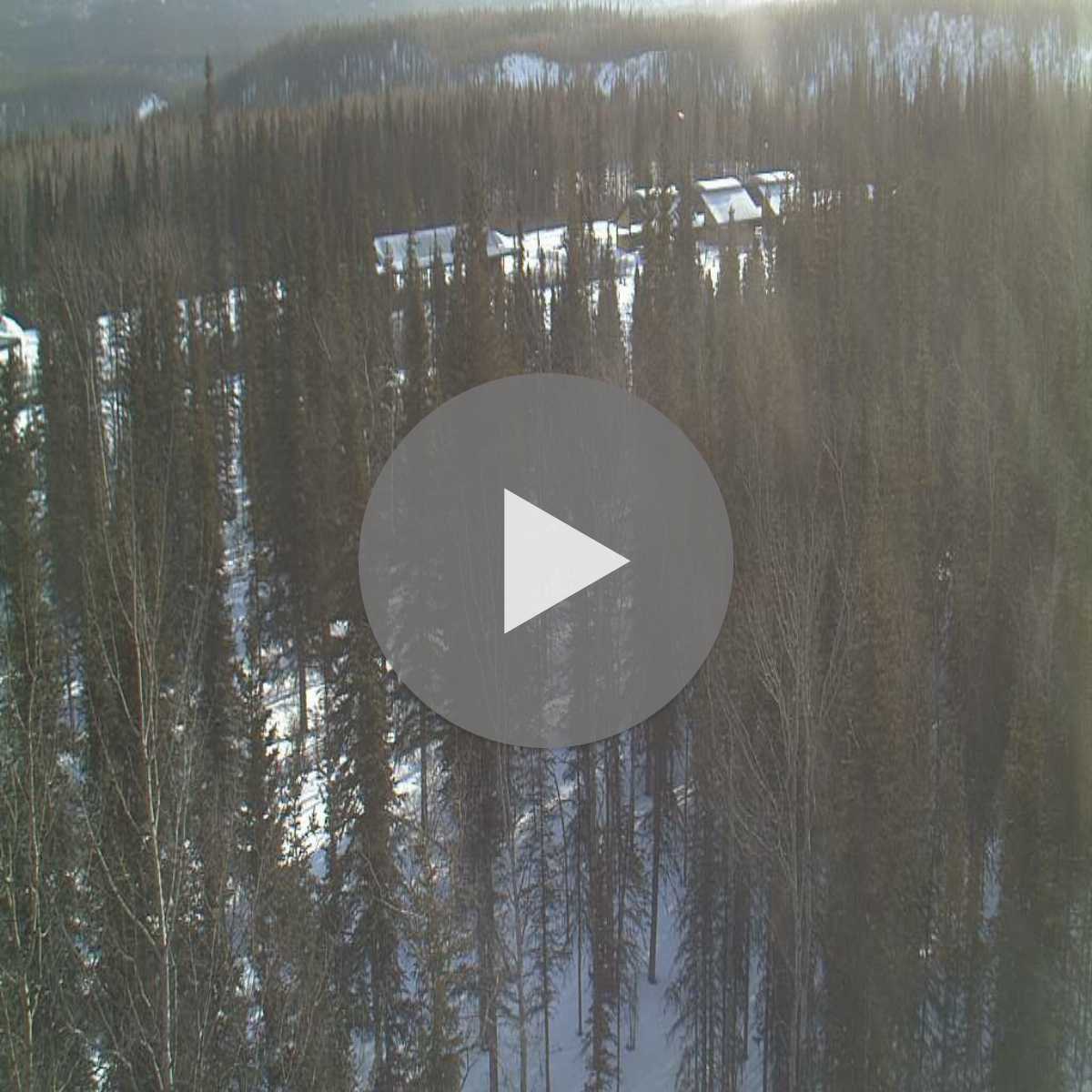 Homer webcam