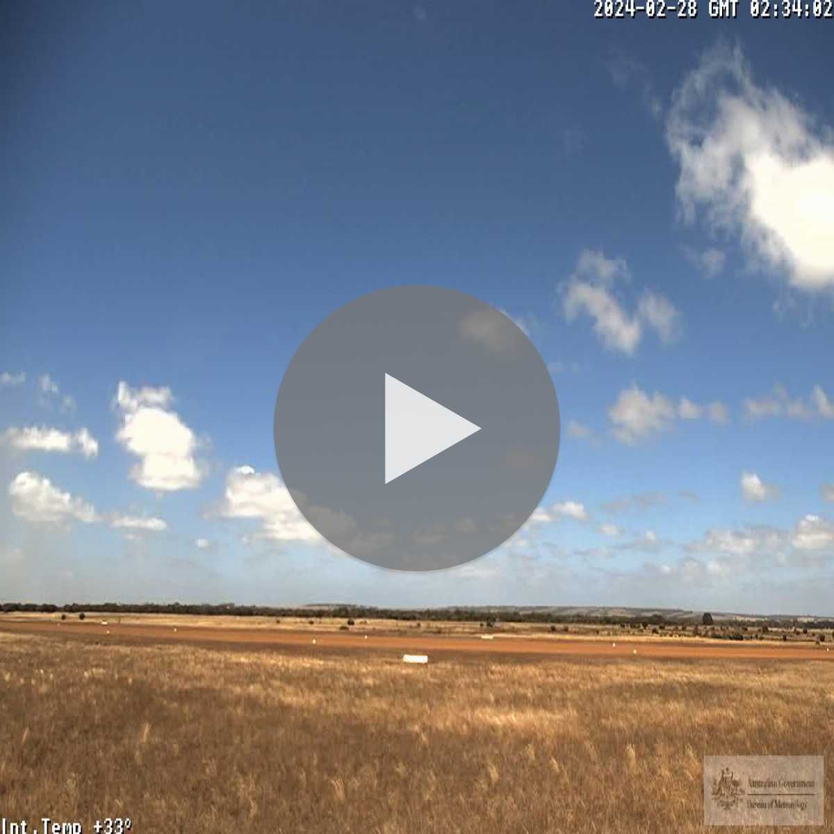 Darlinghurst webcam