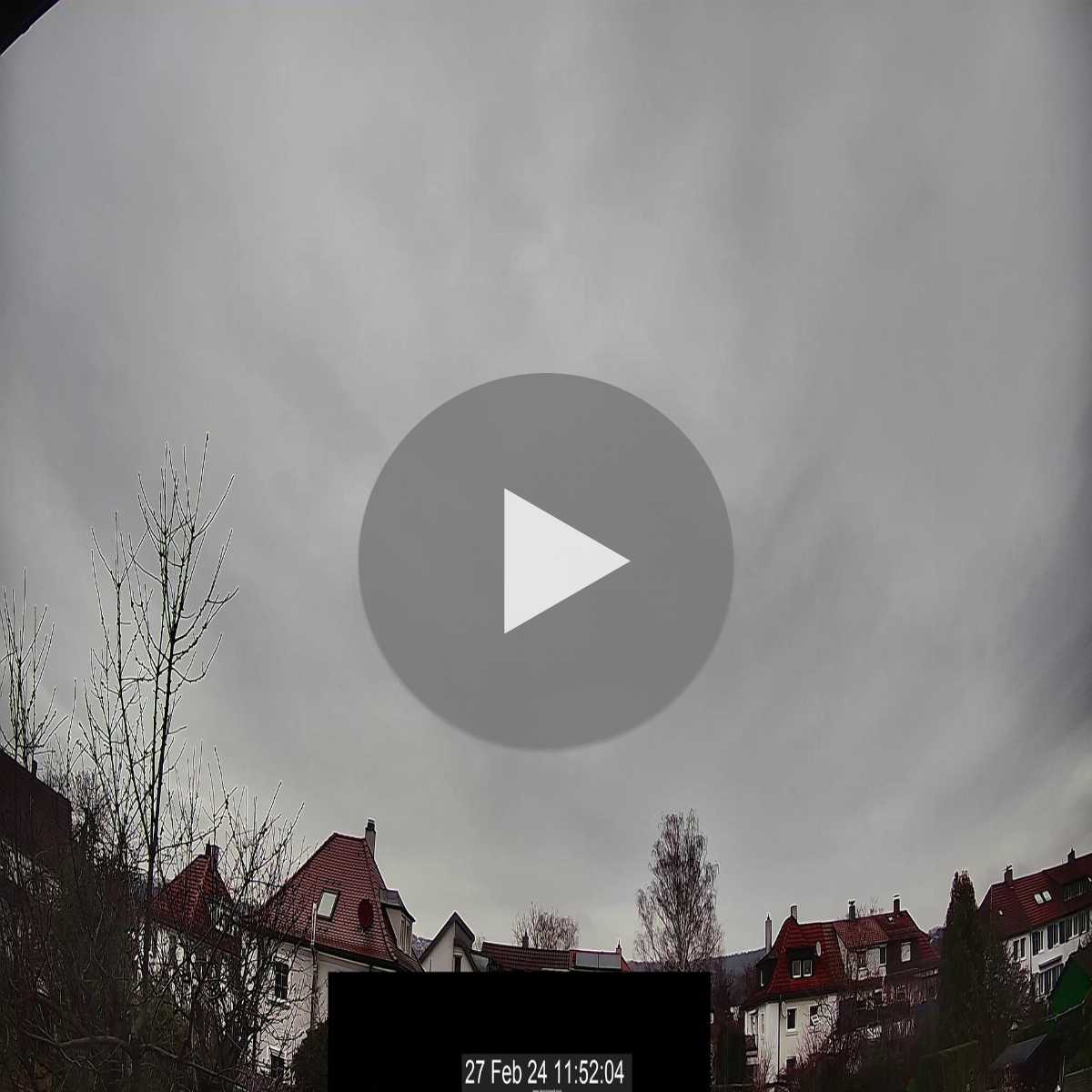 Schallstadt webcam