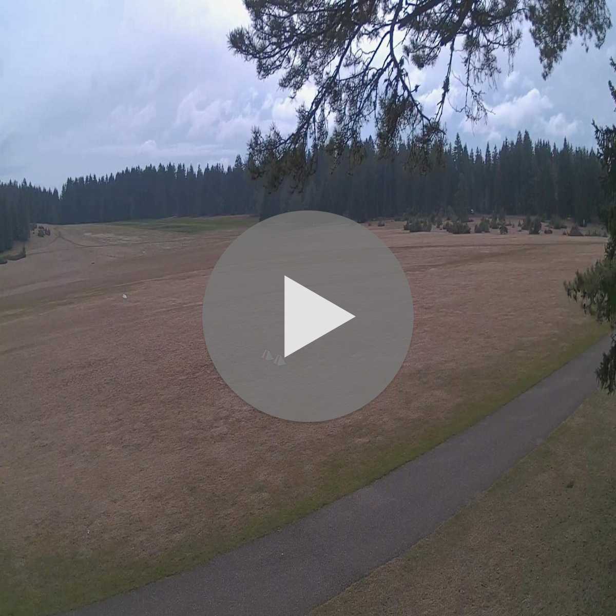 Schallstadt webcam