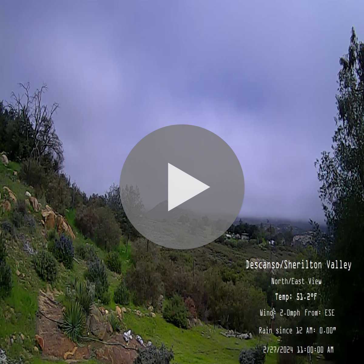 Walnut Creek webcam