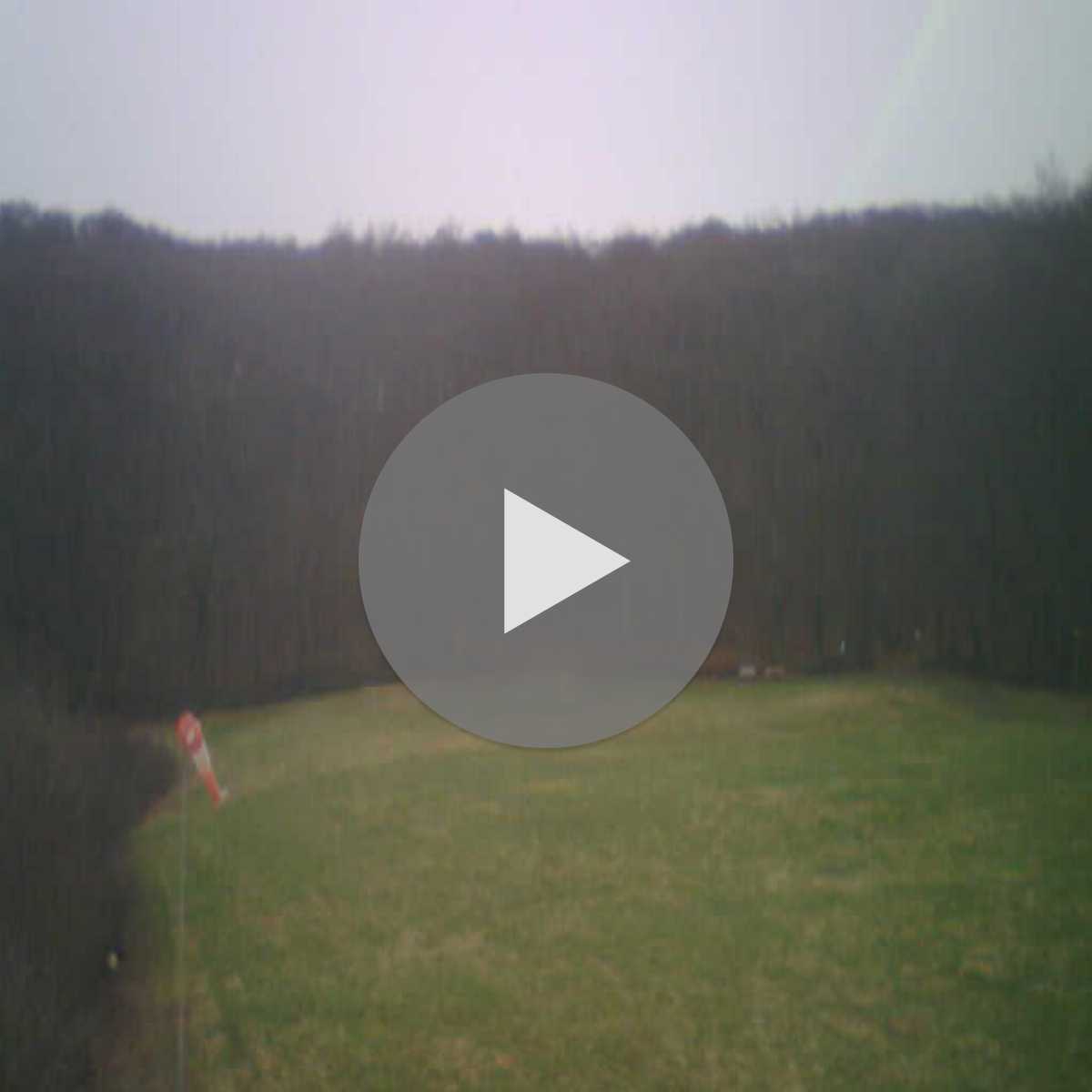 Reppenstedt webcam
