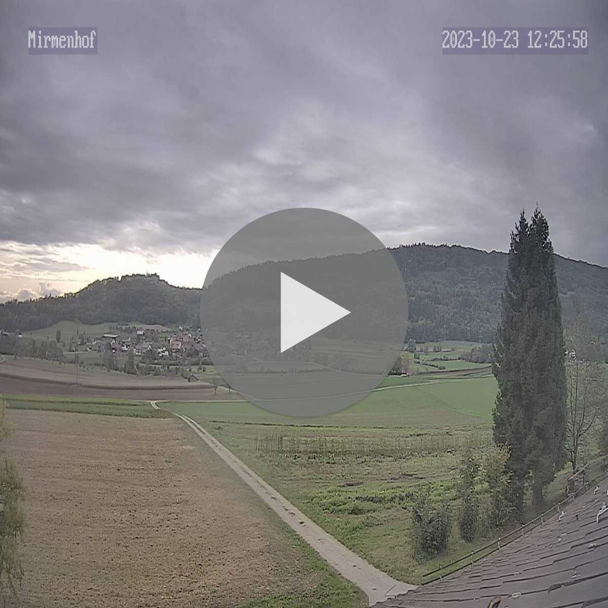 Richterswil webcam
