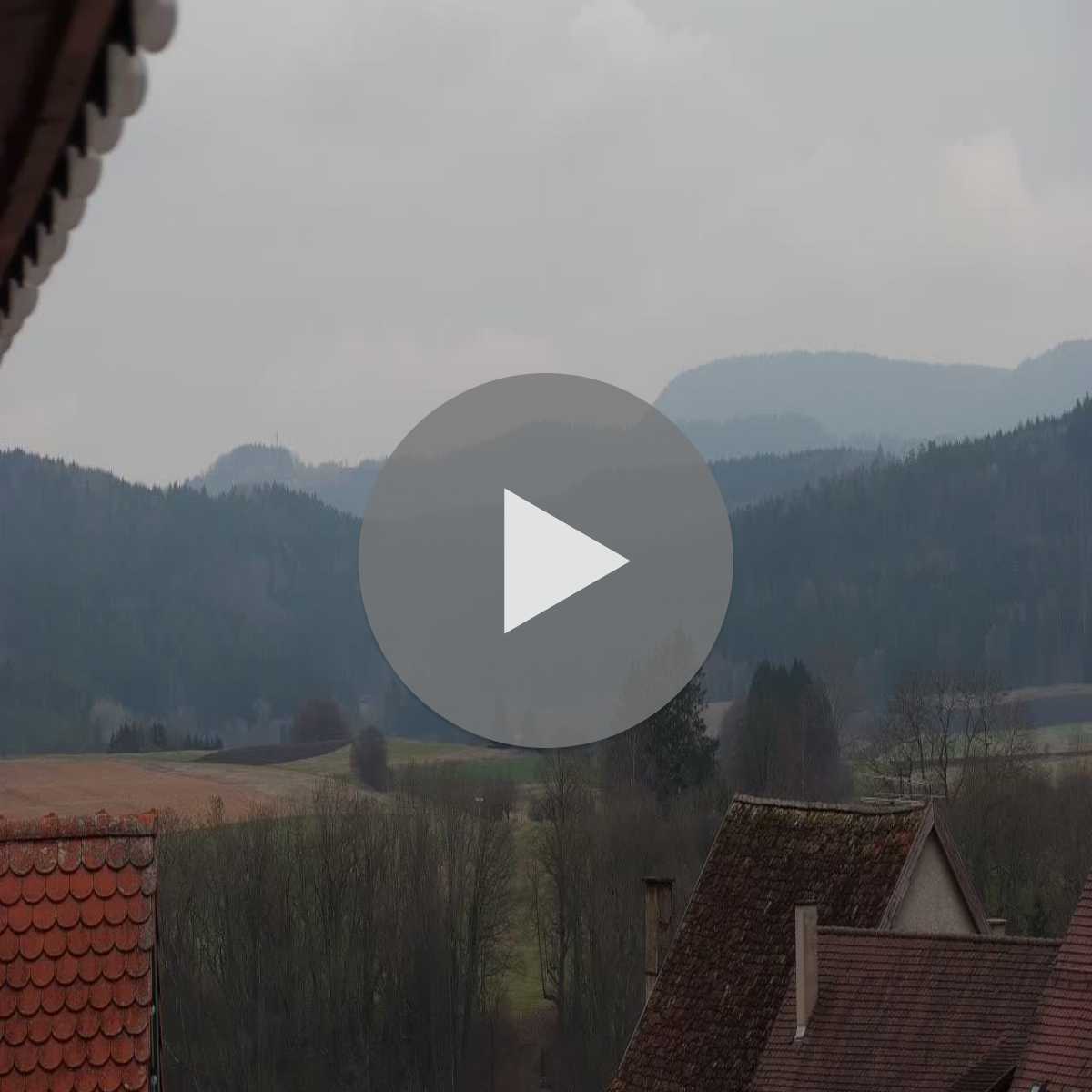 Schallstadt webcam