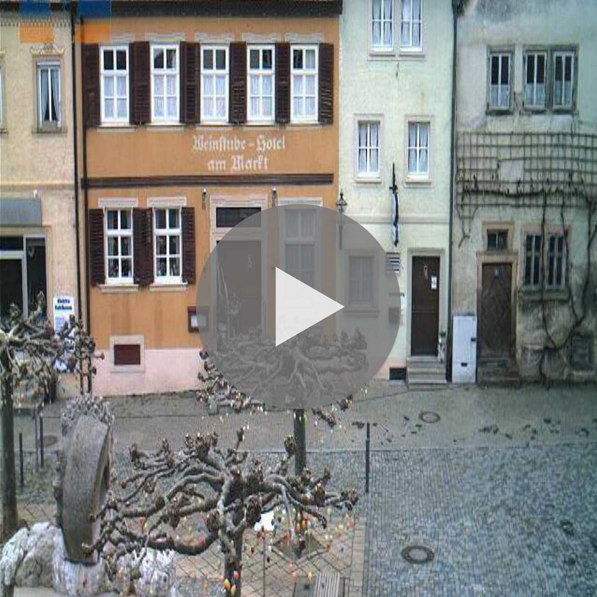 Zachenberg webcam