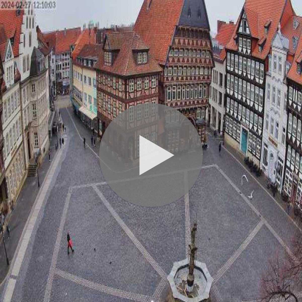 Reppenstedt webcam