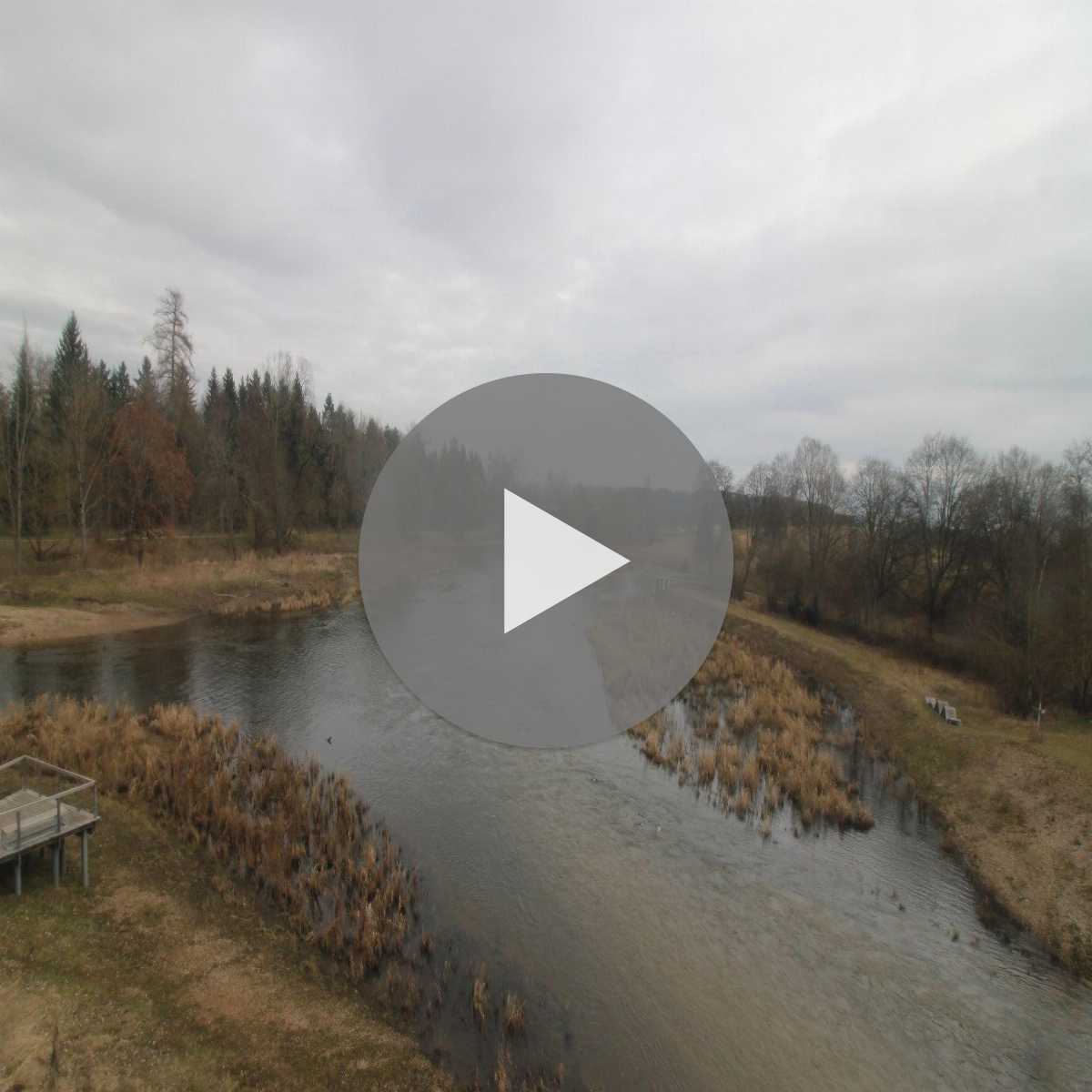 Schallstadt webcam